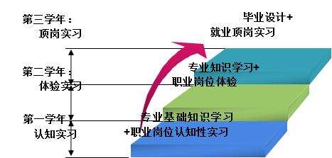 实践教学体系.jpg