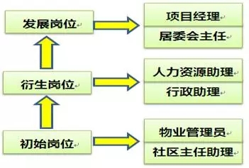 【提前招生特辑①】社区管理与服务：“小专业，大作为”